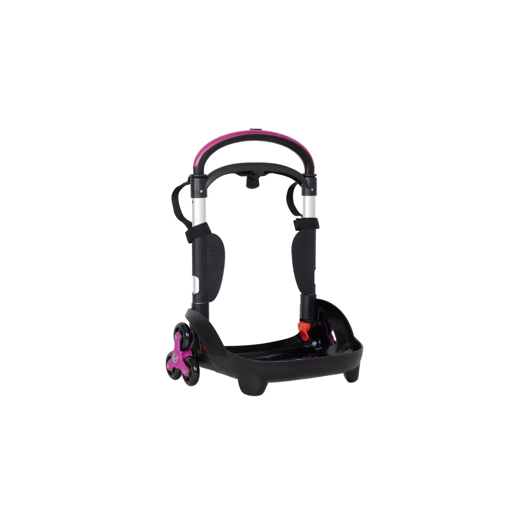 8055714198323_carrellinofuxia_gif.gif 28317008